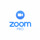 Zoom Workspace Pro 1 год