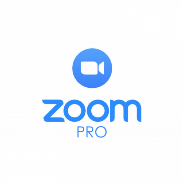 Zoom Workspace Pro 1 год